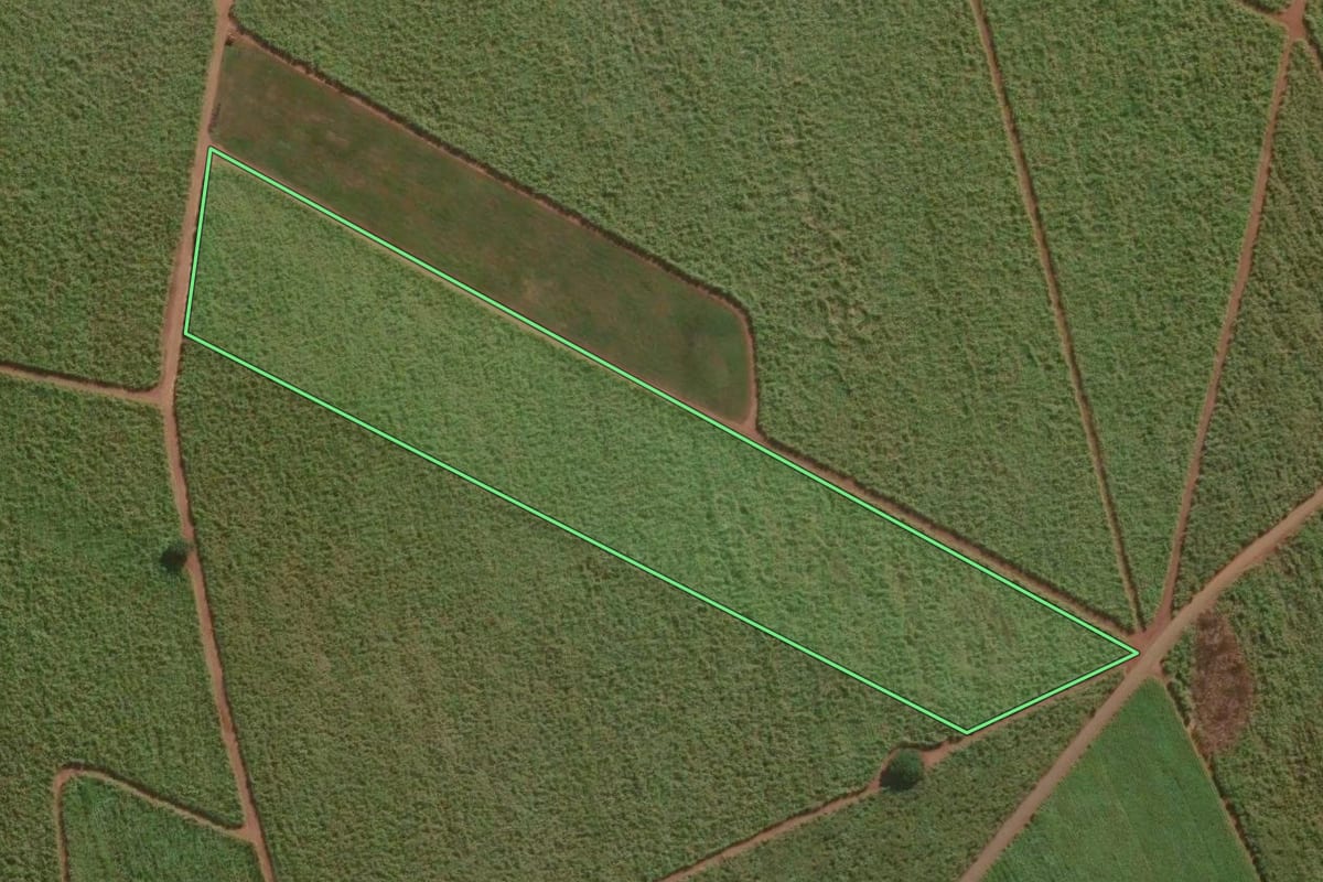 Imagem de satélite do imóvel rural em Lençóis Paulista (SP), com o contorno declarado no CAR desenhado por cima.