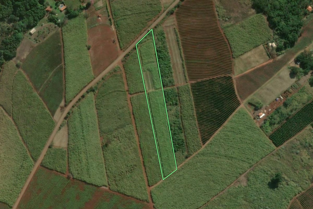 Imagem de satélite do imóvel rural em Lençóis Paulista (SP), com o contorno declarado no CAR desenhado por cima.