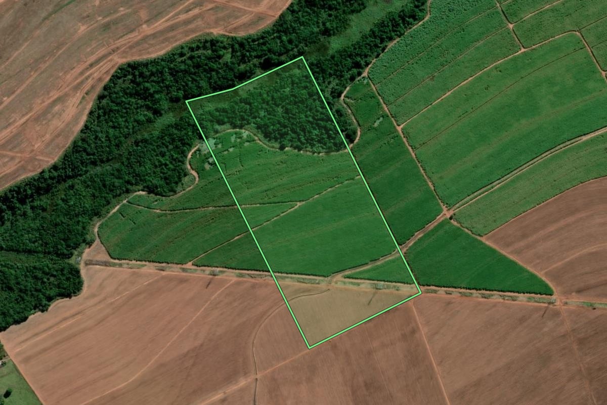 Imagem de satélite do imóvel rural em Lençóis Paulista (SP), com o contorno declarado no CAR desenhado por cima.