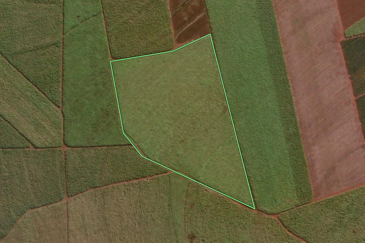 Imagem de satélite do imóvel rural em Lençóis Paulista (SP), com o contorno declarado no CAR desenhado por cima.