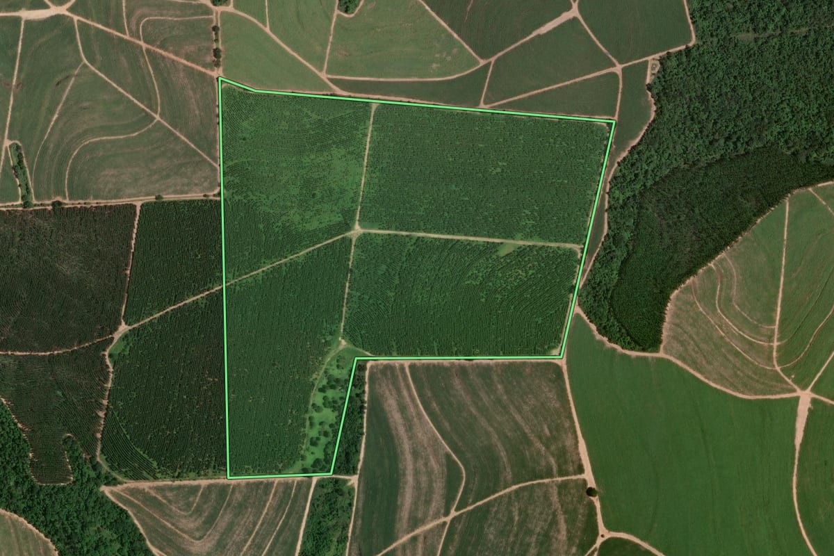 Imagem de satélite do imóvel rural em Lençóis Paulista (SP), com o contorno declarado no CAR desenhado por cima.