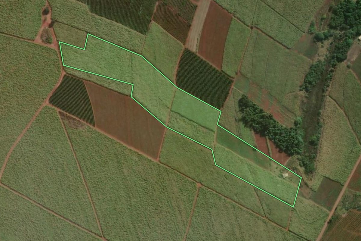 Imagem de satélite do imóvel rural em Lençóis Paulista (SP), com o contorno declarado no CAR desenhado por cima.