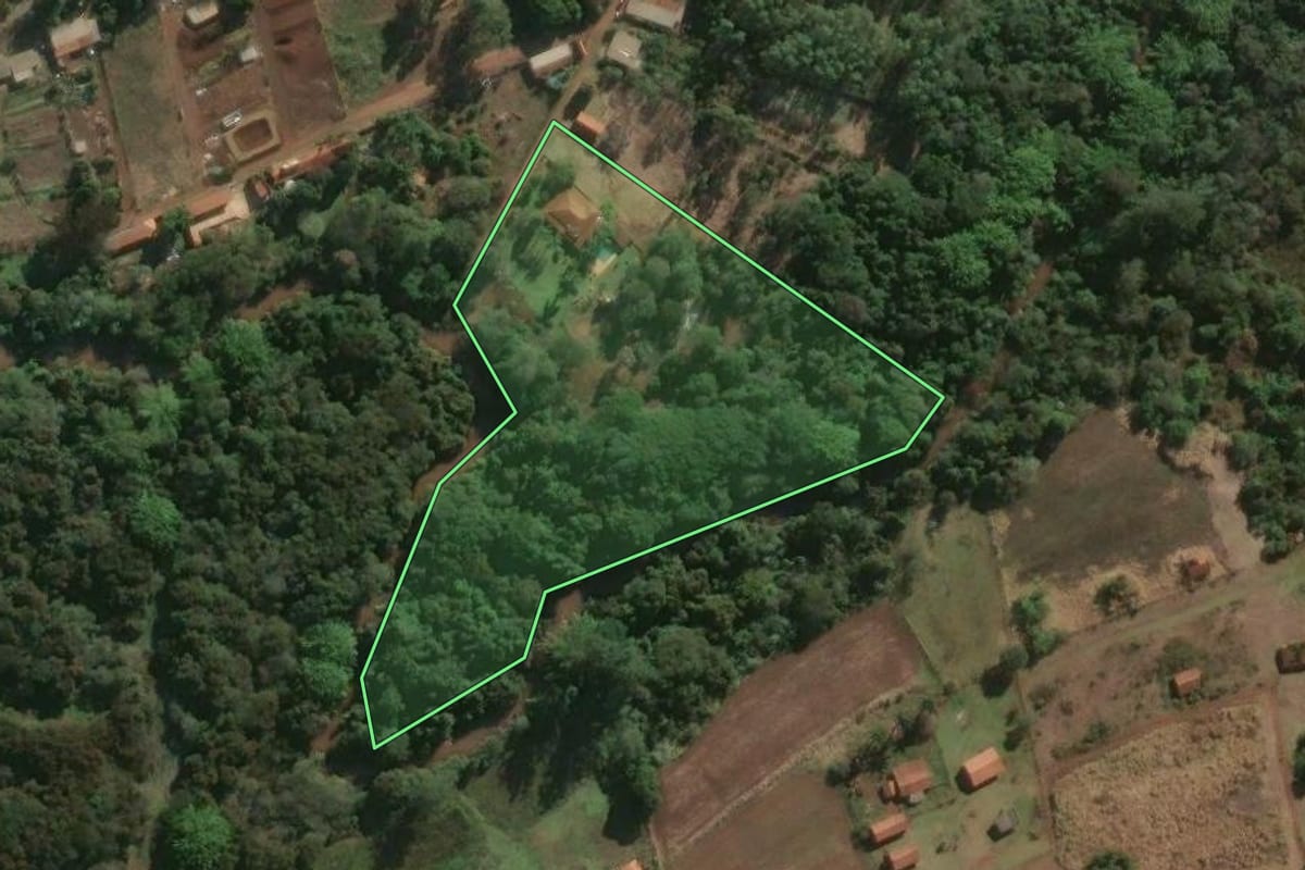 Imagem de satélite do imóvel rural em Lençóis Paulista (SP), com o contorno declarado no CAR desenhado por cima.