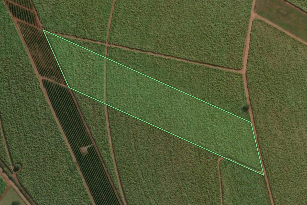 Imagem de satélite do imóvel rural em Lençóis Paulista (SP), com o contorno declarado no CAR desenhado por cima.