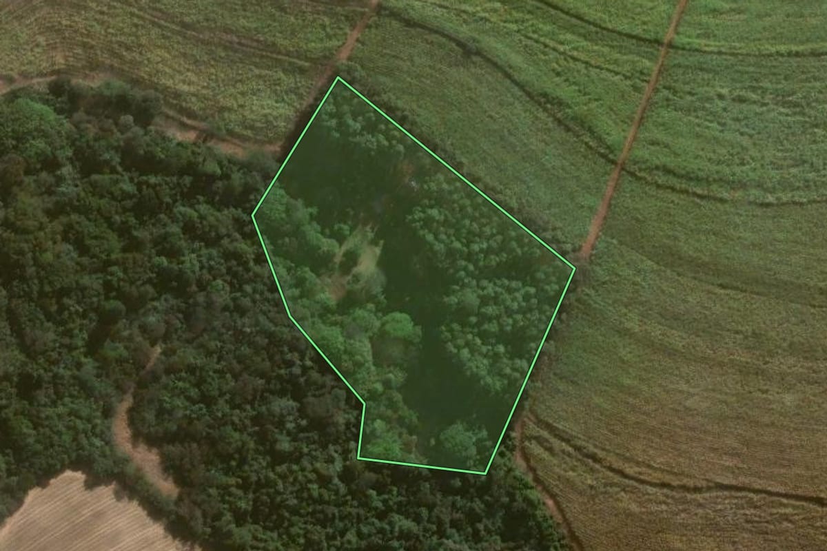 Imagem de satélite do imóvel rural em Lençóis Paulista (SP), com o contorno declarado no CAR desenhado por cima.