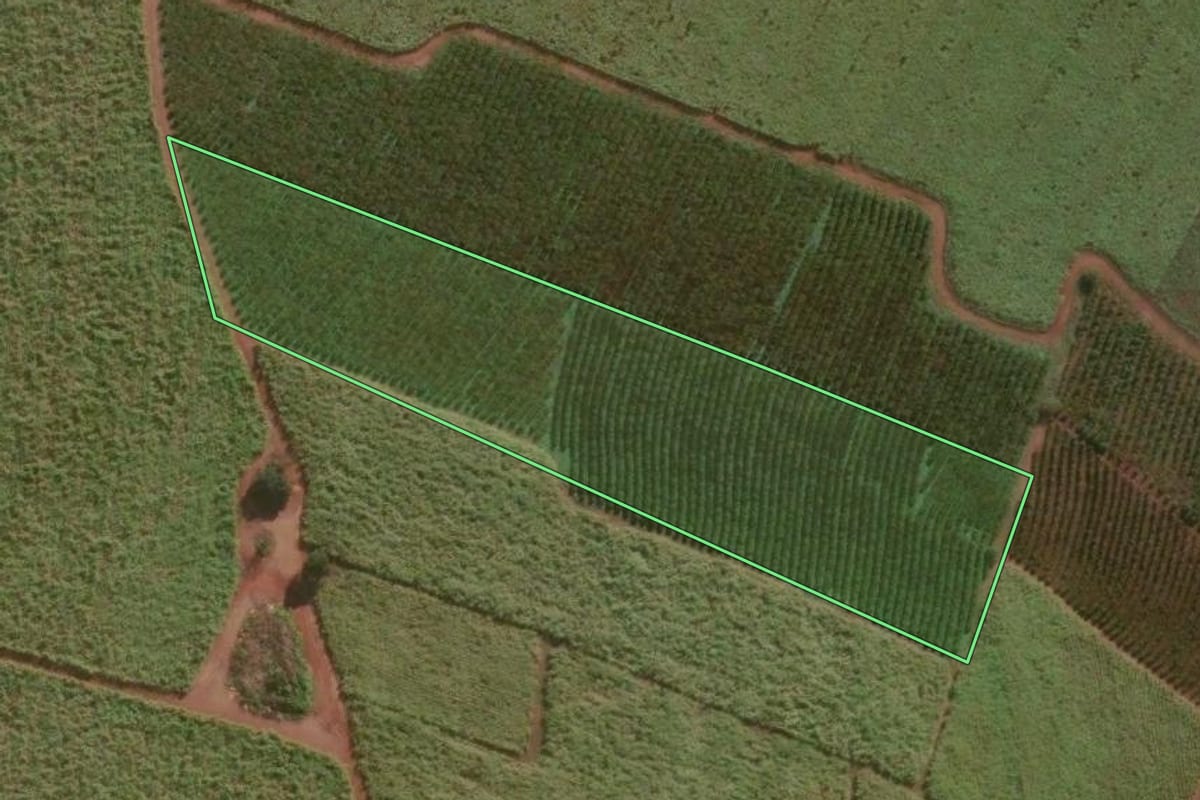 Imagem de satélite do imóvel rural em Lençóis Paulista (SP), com o contorno declarado no CAR desenhado por cima.