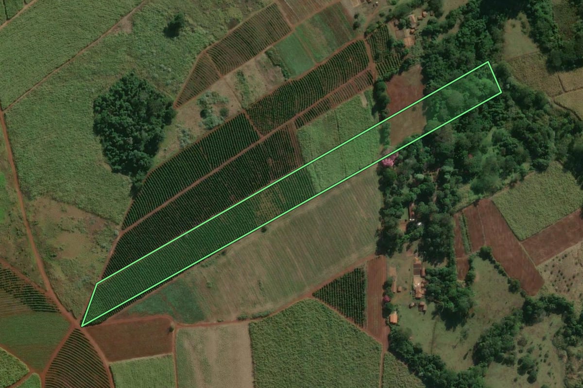 Imagem de satélite do imóvel rural em Lençóis Paulista (SP), com o contorno declarado no CAR desenhado por cima.