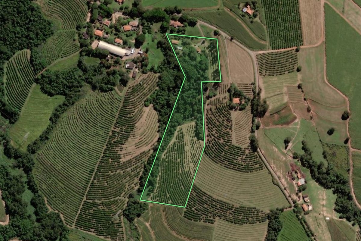 Imagem de satélite do imóvel rural em Limeira (SP), com o contorno declarado no CAR desenhado por cima.