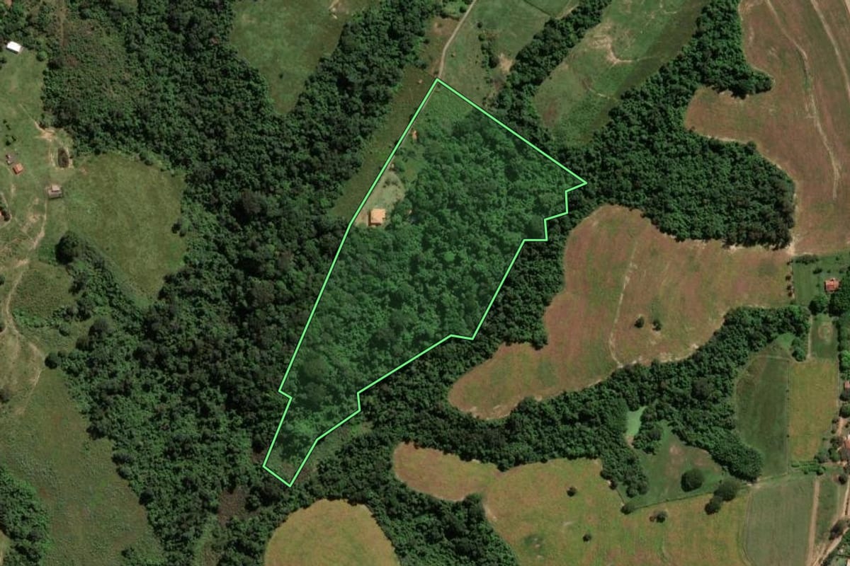 Imagem de satélite do imóvel rural em Limeira (SP), com o contorno declarado no CAR desenhado por cima.