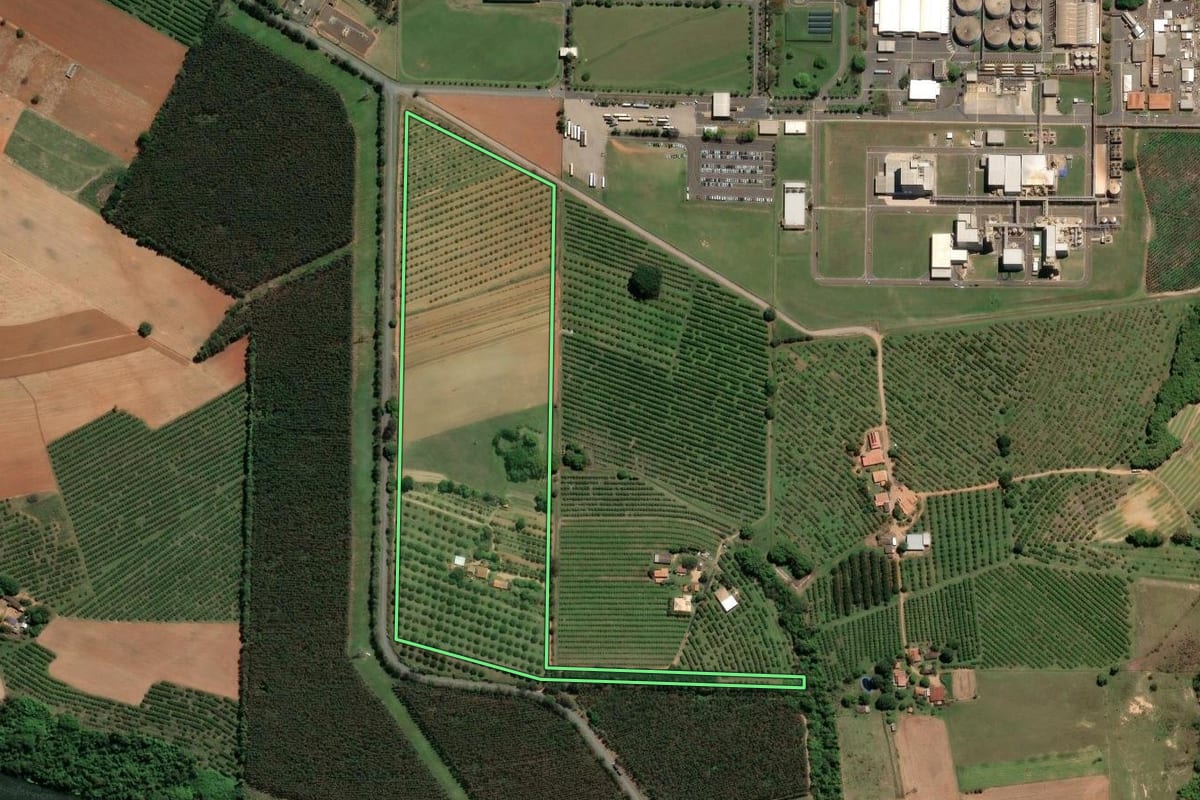 Imagem de satélite do imóvel rural em Limeira (SP), com o contorno declarado no CAR desenhado por cima.