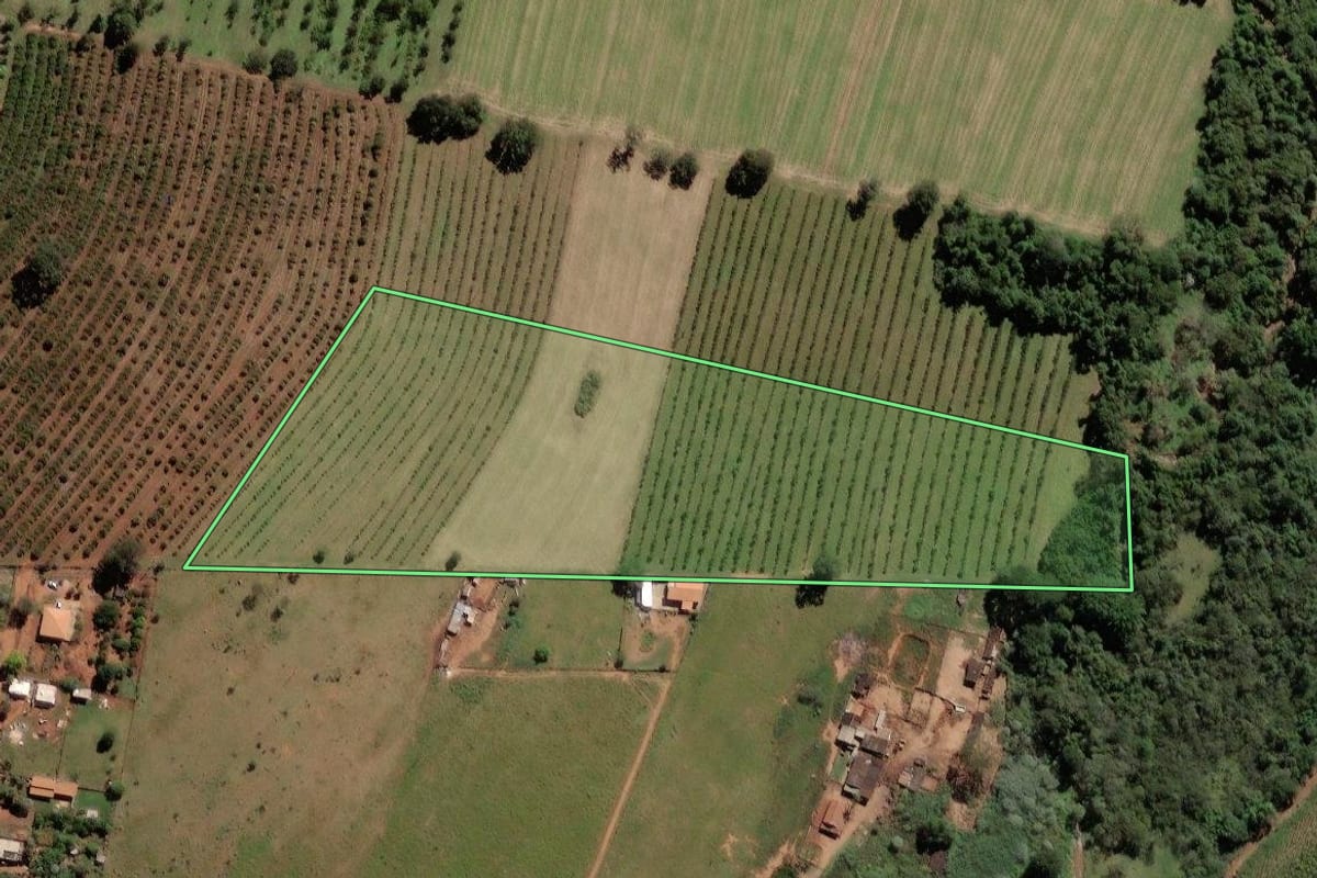 Imagem de satélite do imóvel rural em Limeira (SP), com o contorno declarado no CAR desenhado por cima.