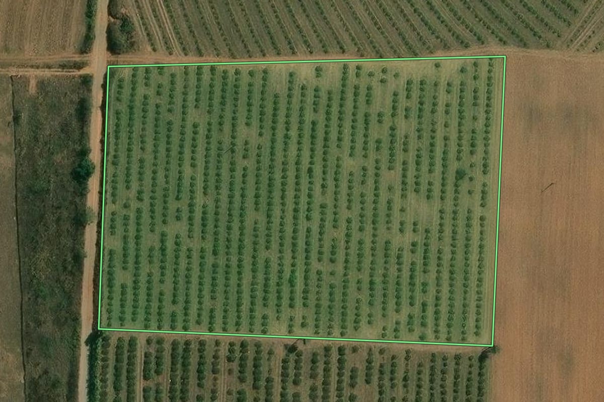 Imagem de satélite do imóvel rural em Limeira (SP), com o contorno declarado no CAR desenhado por cima.