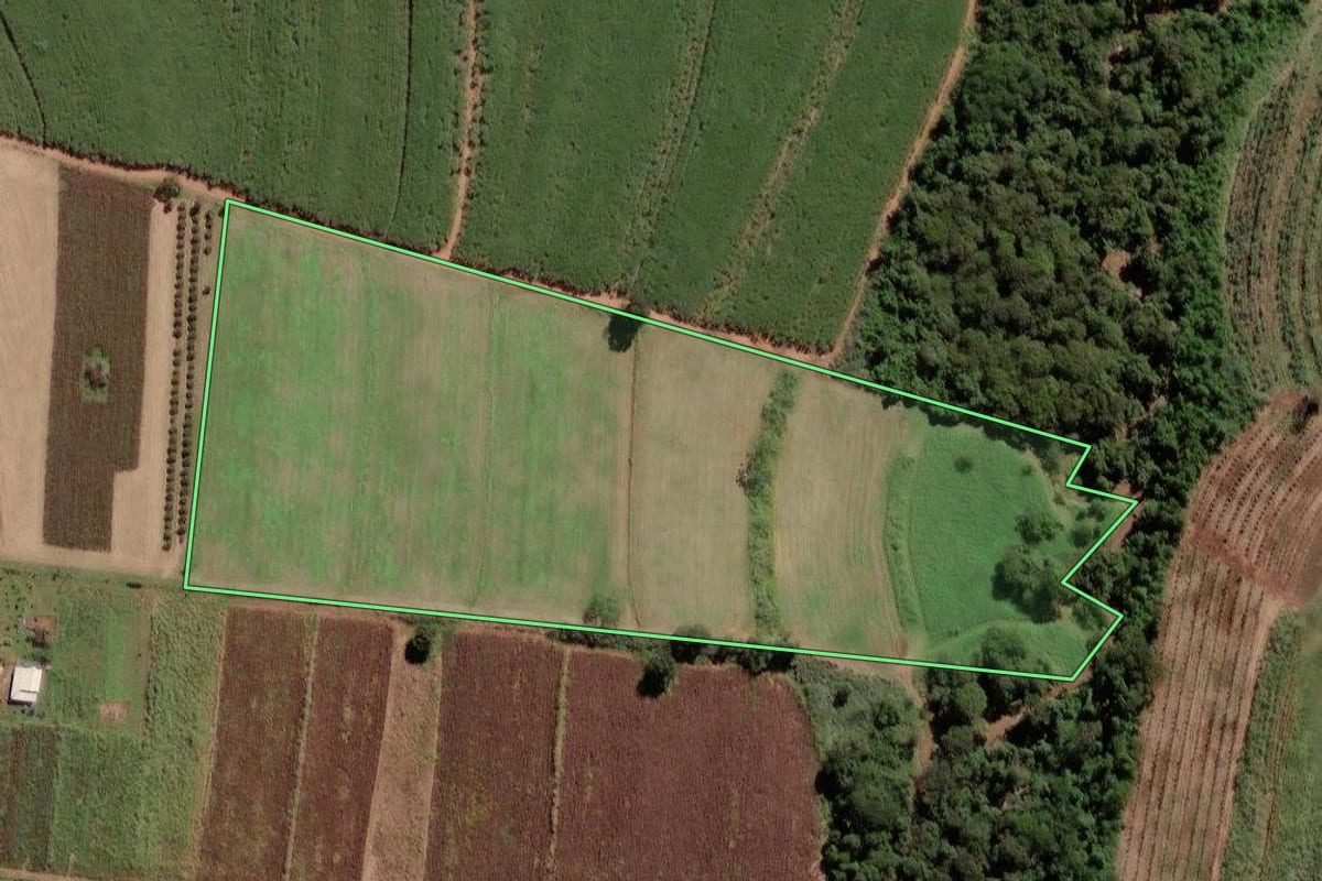 Imagem de satélite do imóvel rural em Limeira (SP), com o contorno declarado no CAR desenhado por cima.