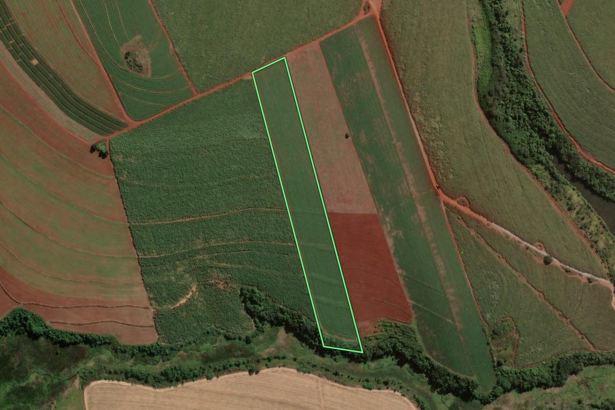 Imagem de satélite do imóvel rural em Limeira (SP), com o contorno declarado no CAR desenhado por cima.