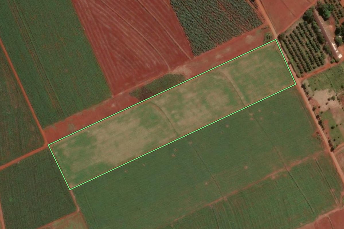 Imagem de satélite do imóvel rural em Limeira (SP), com o contorno declarado no CAR desenhado por cima.