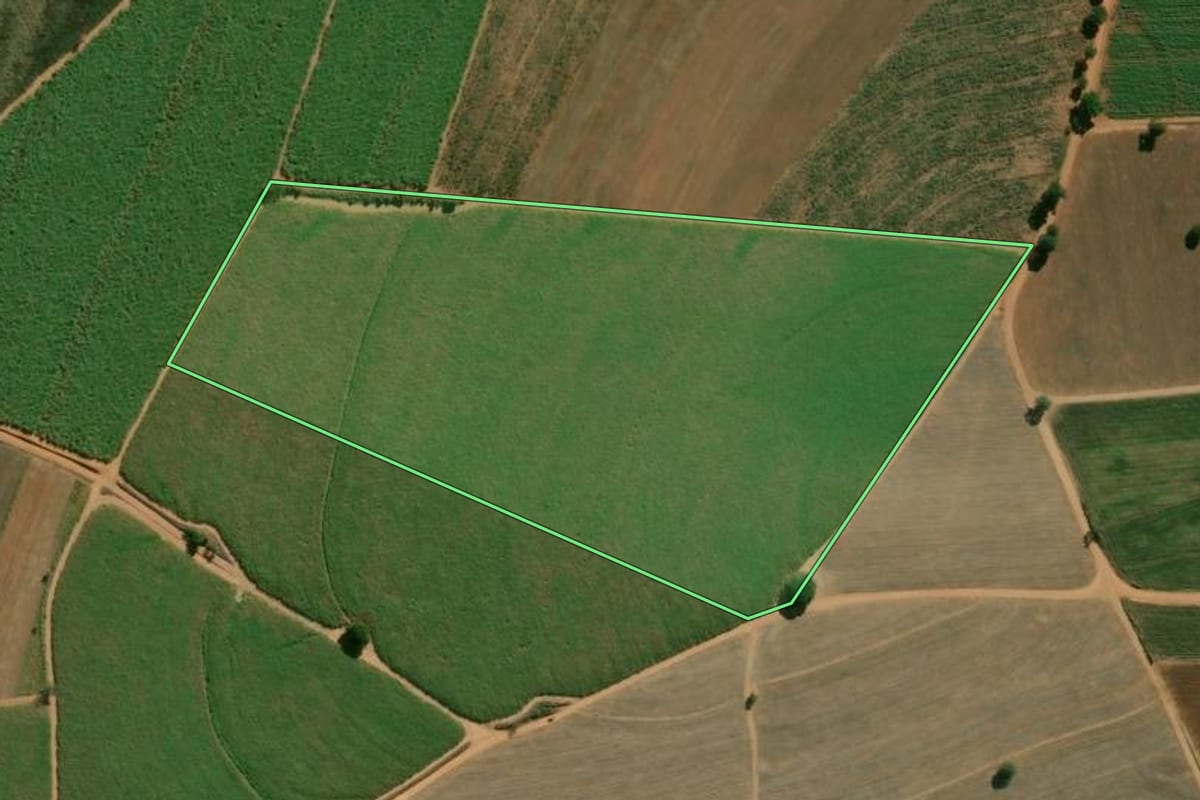 Imagem de satélite do imóvel rural em Limeira (SP), com o contorno declarado no CAR desenhado por cima.