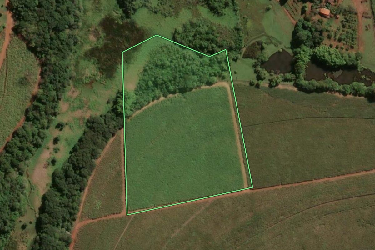Imagem de satélite do imóvel rural em Limeira (SP), com o contorno declarado no CAR desenhado por cima.