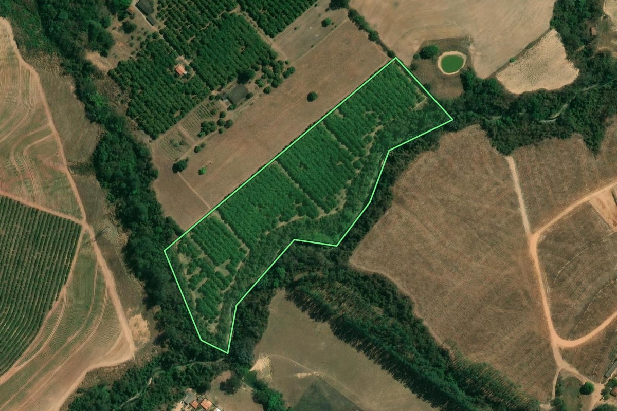 Imagem de satélite do imóvel rural em Limeira (SP), com o contorno declarado no CAR desenhado por cima.