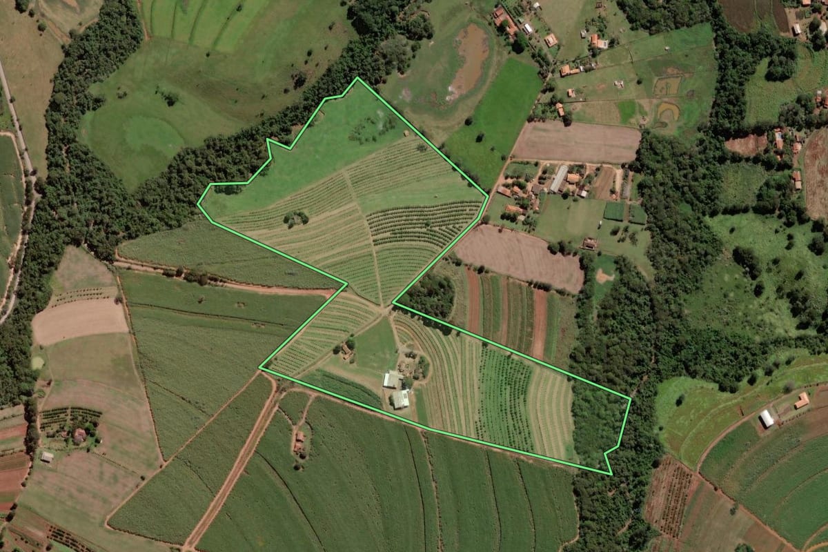 Imagem de satélite do imóvel rural em Limeira (SP), com o contorno declarado no CAR desenhado por cima.