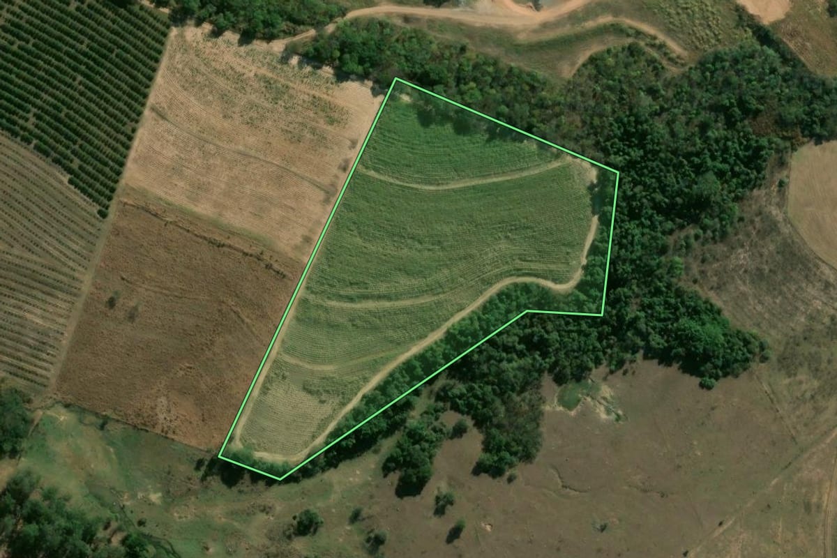 Imagem de satélite do imóvel rural em Limeira (SP), com o contorno declarado no CAR desenhado por cima.
