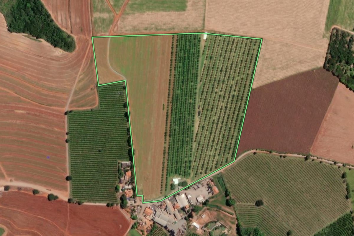 Imagem de satélite do imóvel rural em Limeira (SP), com o contorno declarado no CAR desenhado por cima.