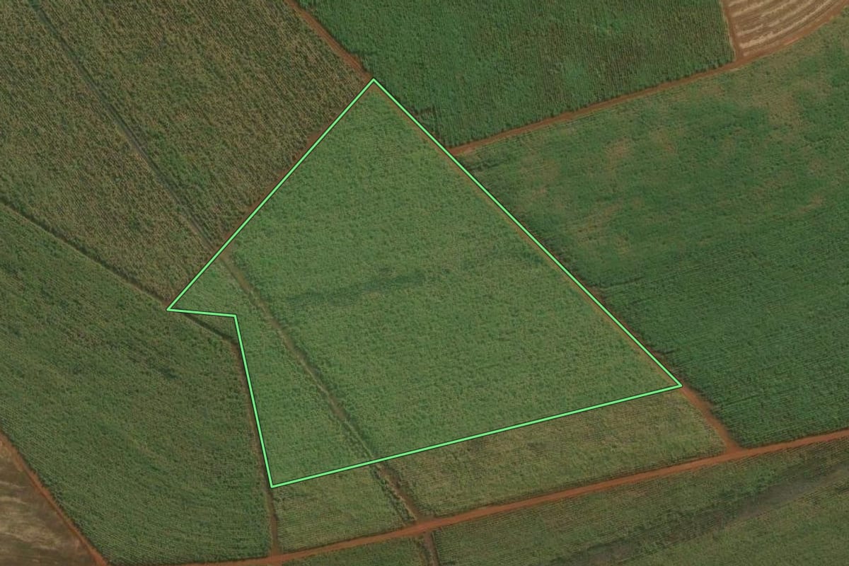 Imagem de satélite do imóvel rural em Limeira (SP), com o contorno declarado no CAR desenhado por cima.
