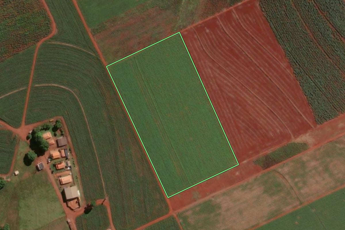 Imagem de satélite do imóvel rural em Limeira (SP), com o contorno declarado no CAR desenhado por cima.