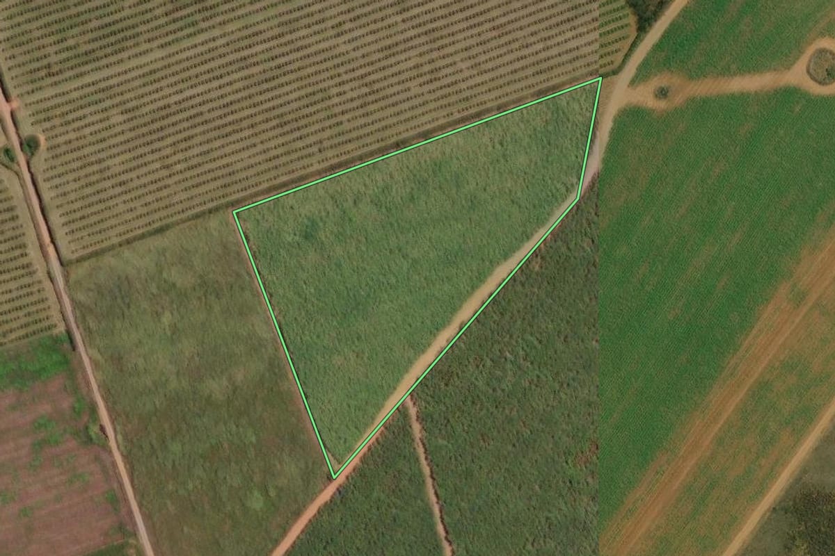 Imagem de satélite do imóvel rural em Limeira (SP), com o contorno declarado no CAR desenhado por cima.