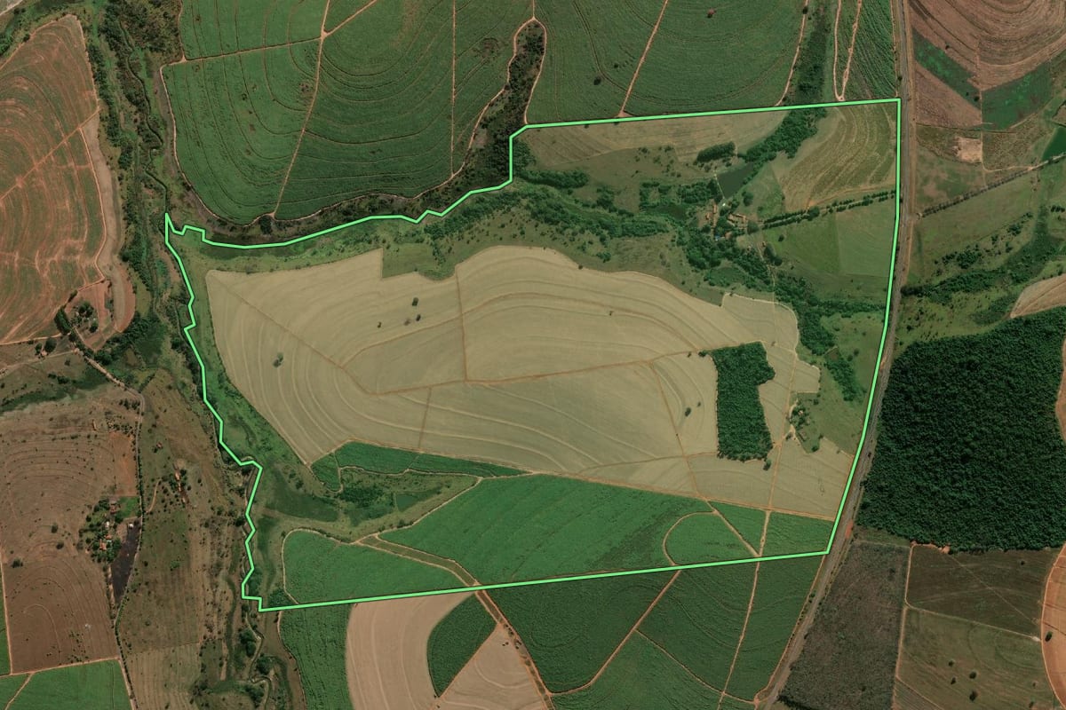 Imagem de satélite do imóvel rural em Lins (SP), com o contorno declarado no CAR desenhado por cima.