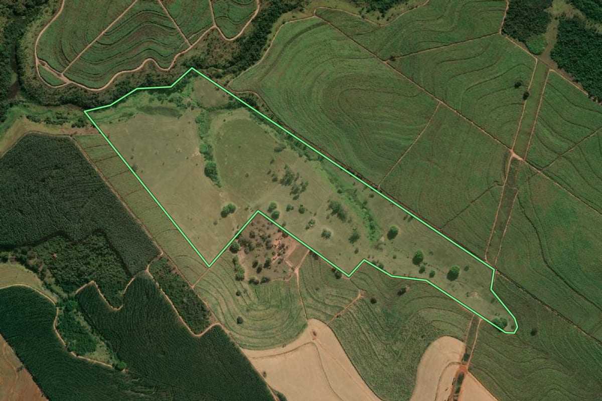 Imagem de satélite do imóvel rural em Lins (SP), com o contorno declarado no CAR desenhado por cima.