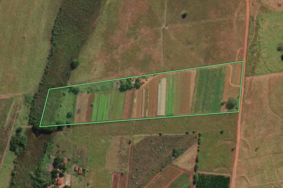 Imagem de satélite do imóvel rural em Lins (SP), com o contorno declarado no CAR desenhado por cima.