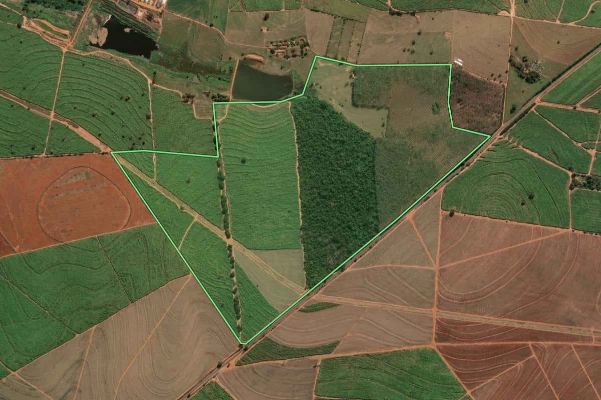 Imagem de satélite do imóvel rural em Lins (SP), com o contorno declarado no CAR desenhado por cima.