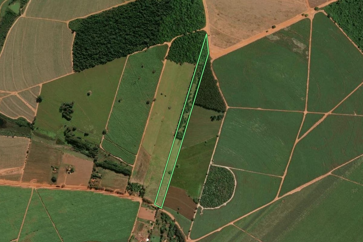 Imagem de satélite do imóvel rural em Lins (SP), com o contorno declarado no CAR desenhado por cima.