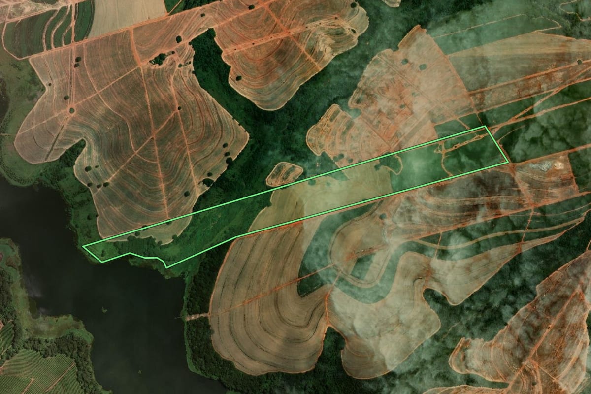 Imagem de satélite do imóvel rural em Lins (SP), com o contorno declarado no CAR desenhado por cima.