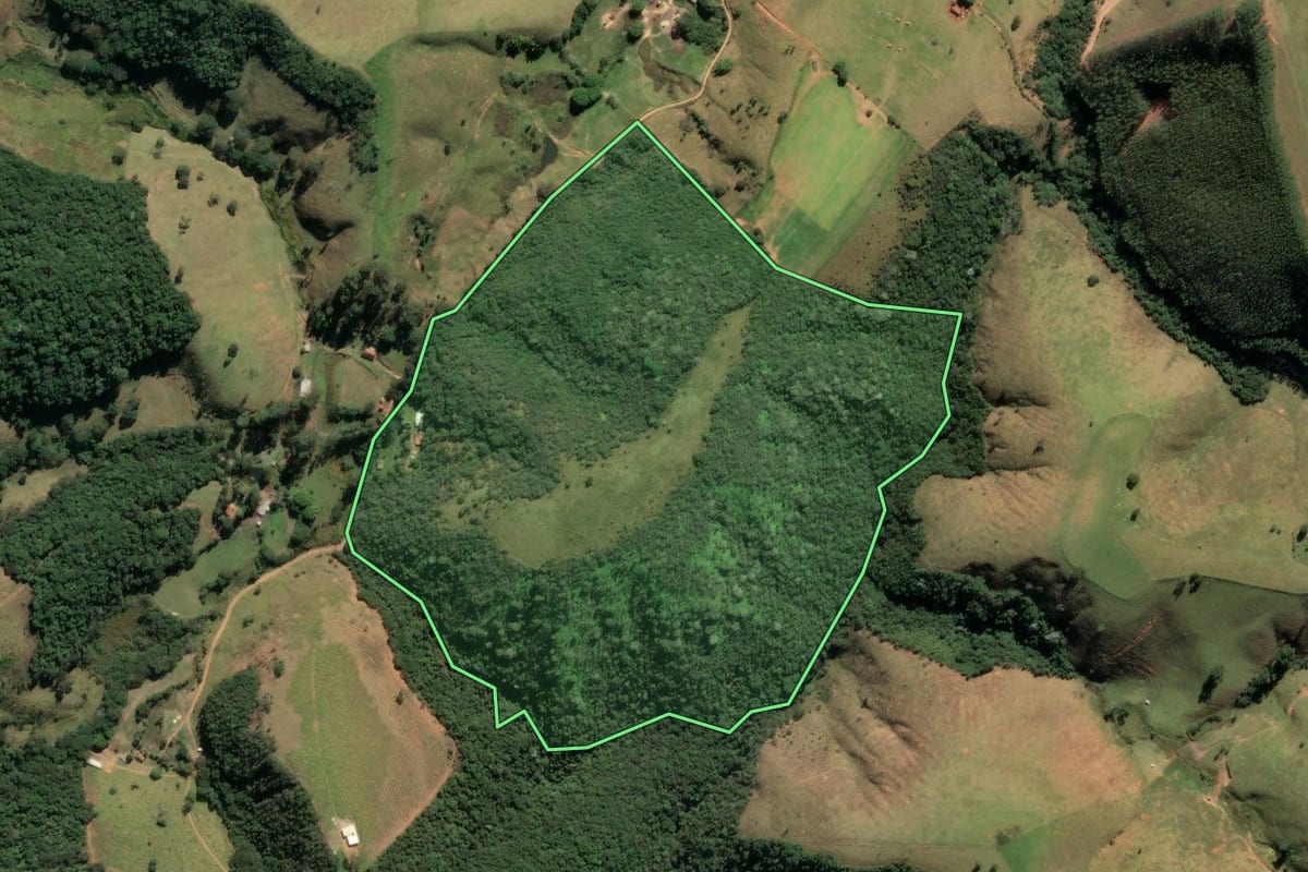 Imagem de satélite do imóvel rural em Lorena (SP), com o contorno declarado no CAR desenhado por cima.