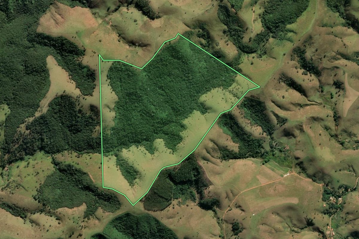 Imagem de satélite do imóvel rural em Lorena (SP), com o contorno declarado no CAR desenhado por cima.