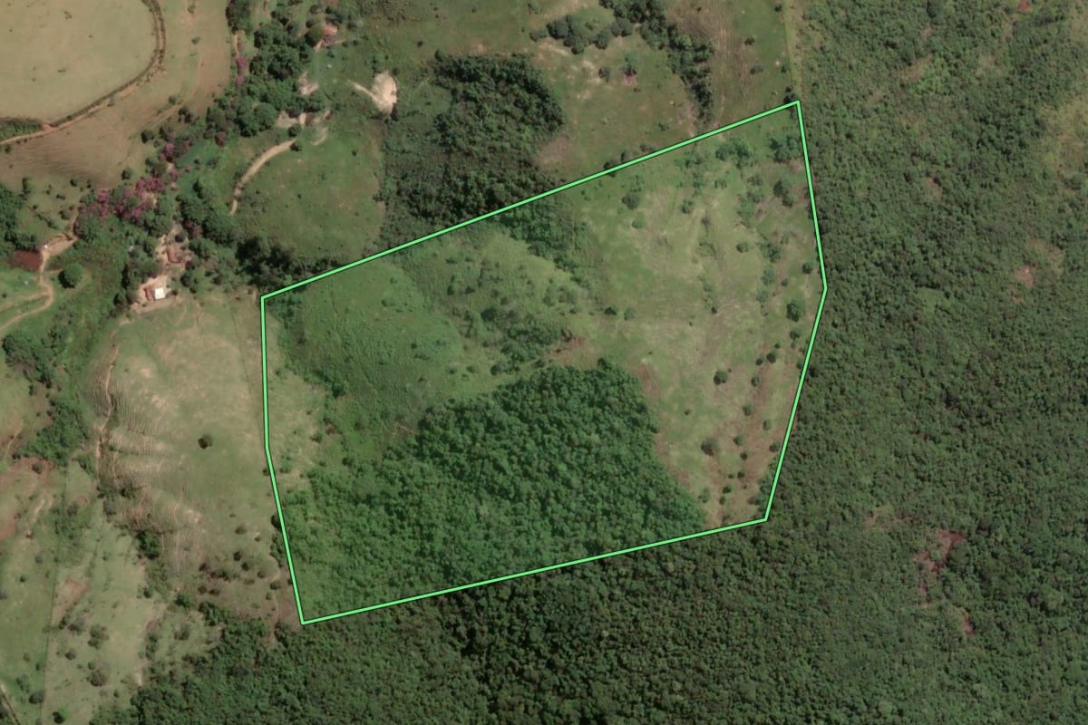 Imagem de satélite do imóvel rural em Lorena (SP), com o contorno declarado no CAR desenhado por cima.