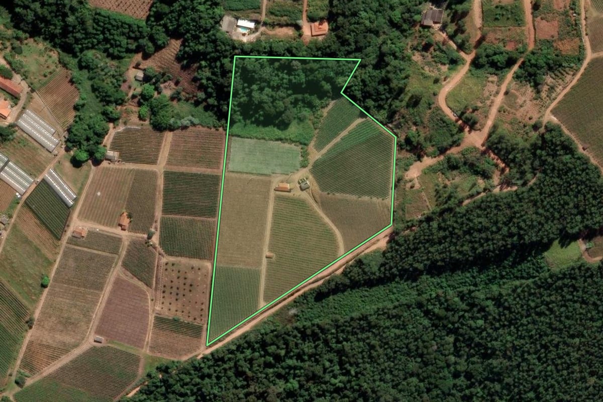 Imagem de satélite do imóvel rural em Louveira (SP), com o contorno declarado no CAR desenhado por cima.