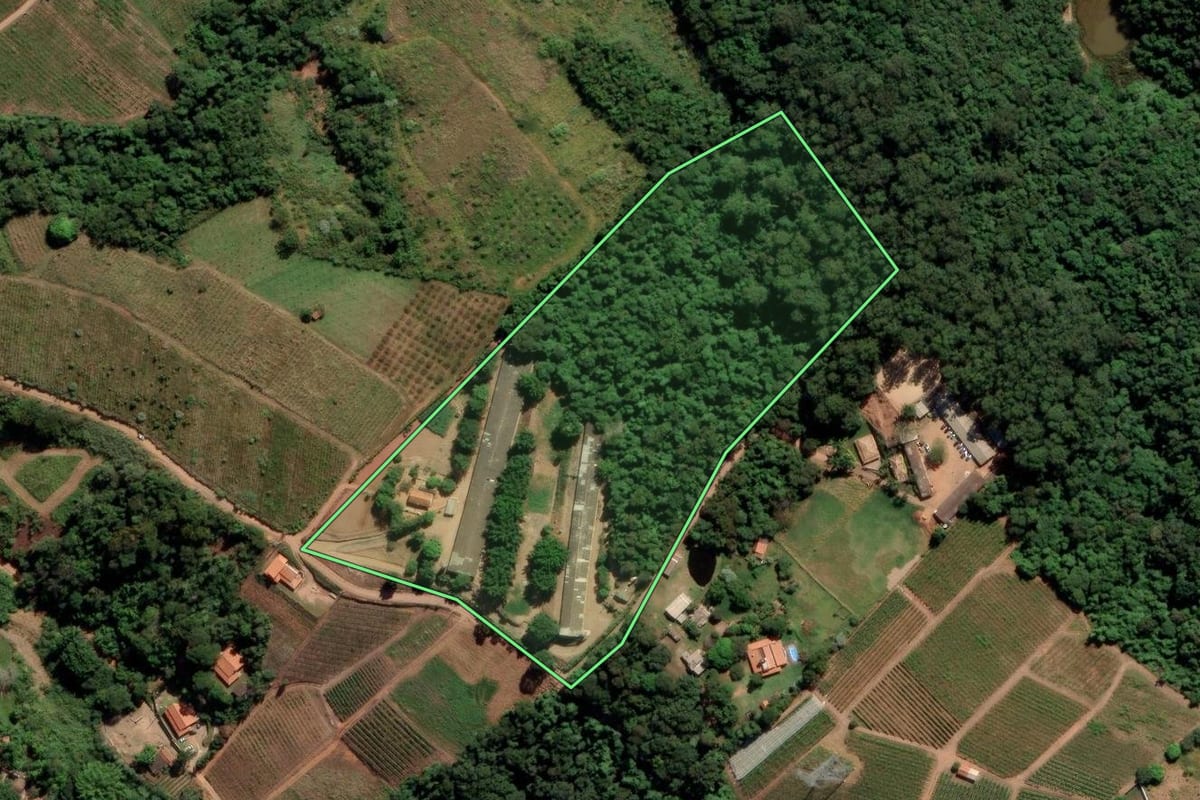 Imagem de satélite do imóvel rural em Louveira (SP), com o contorno declarado no CAR desenhado por cima.