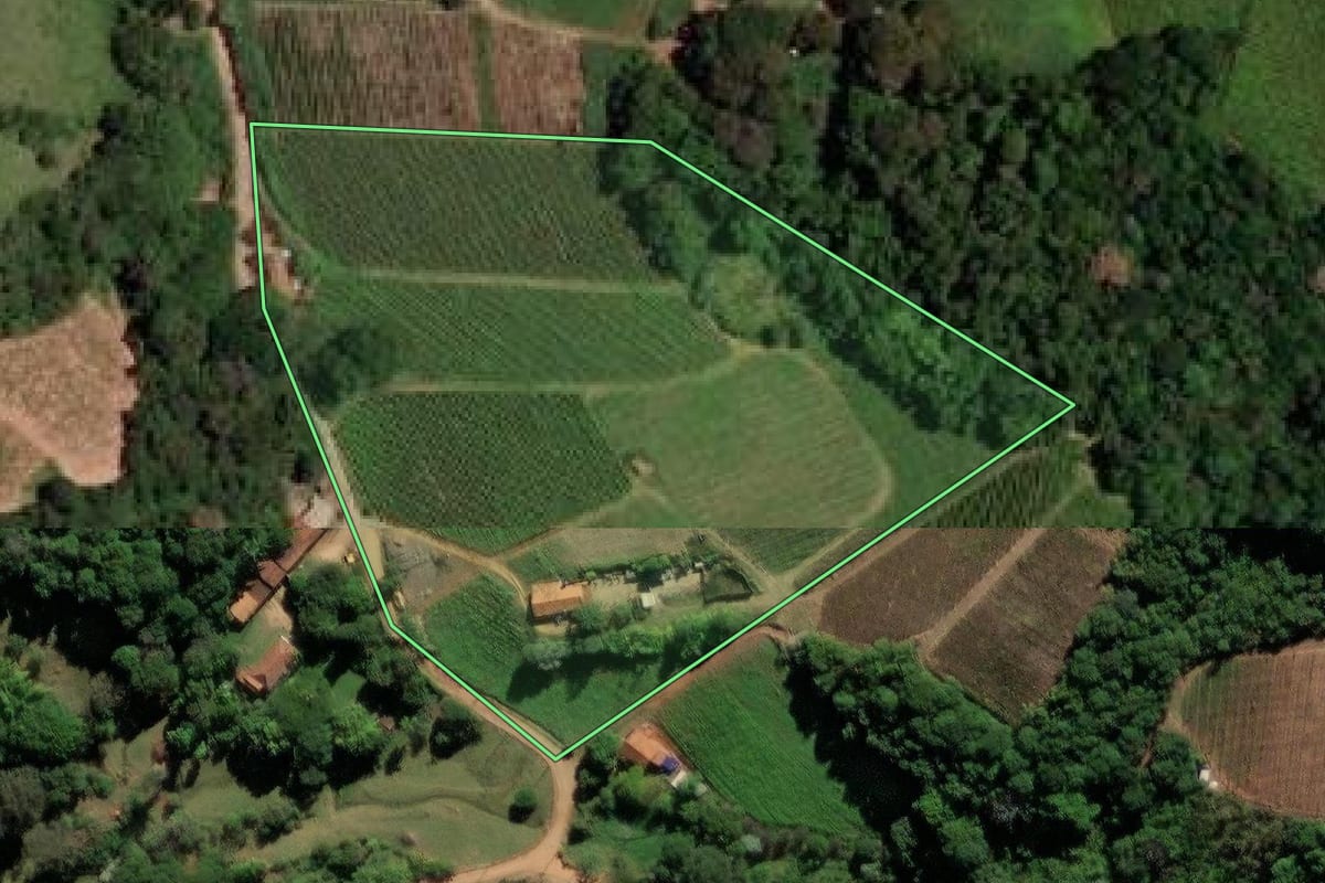 Imagem de satélite do imóvel rural em Louveira (SP), com o contorno declarado no CAR desenhado por cima.