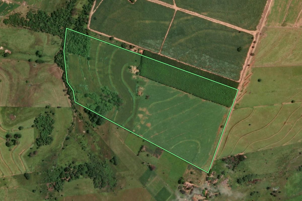 Imagem de satélite do imóvel rural em Lucélia (SP), com o contorno declarado no CAR desenhado por cima.