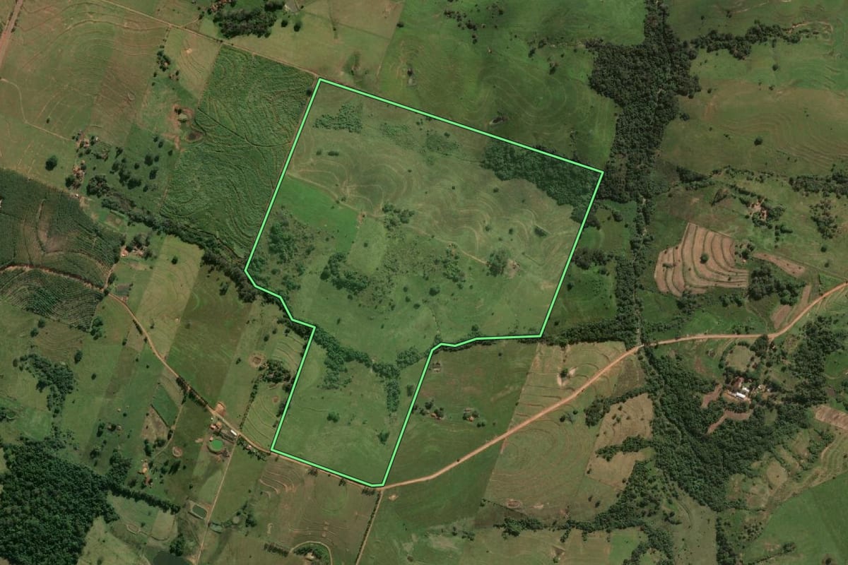 Imagem de satélite do imóvel rural em Lucélia (SP), com o contorno declarado no CAR desenhado por cima.