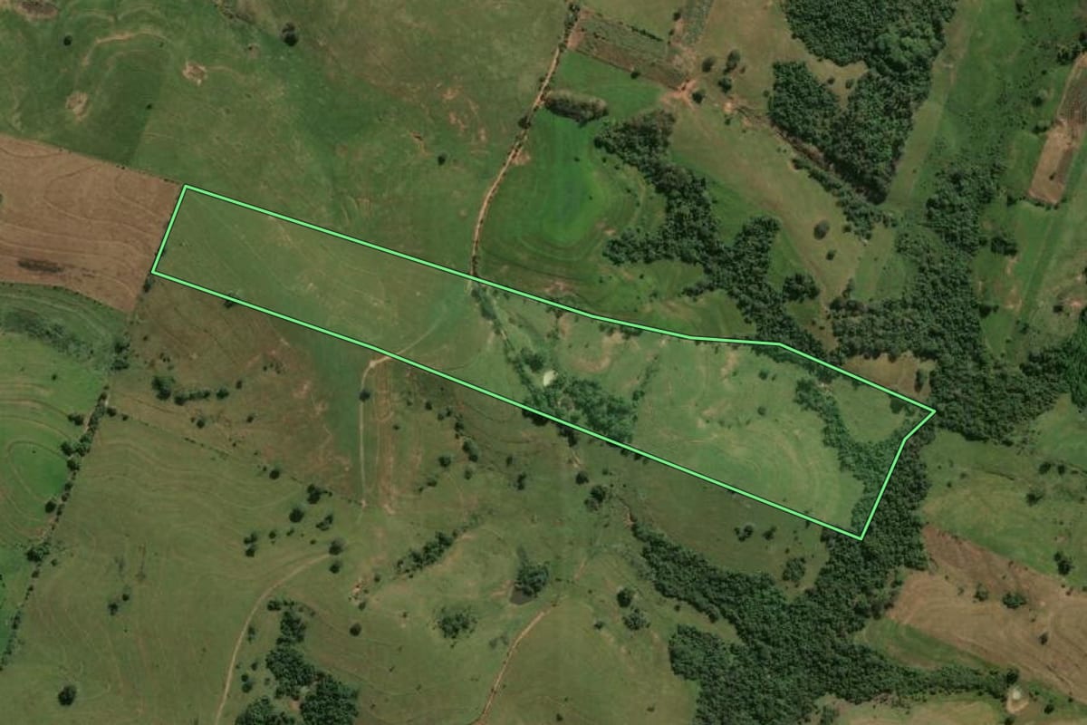 Imagem de satélite do imóvel rural em Lucélia (SP), com o contorno declarado no CAR desenhado por cima.