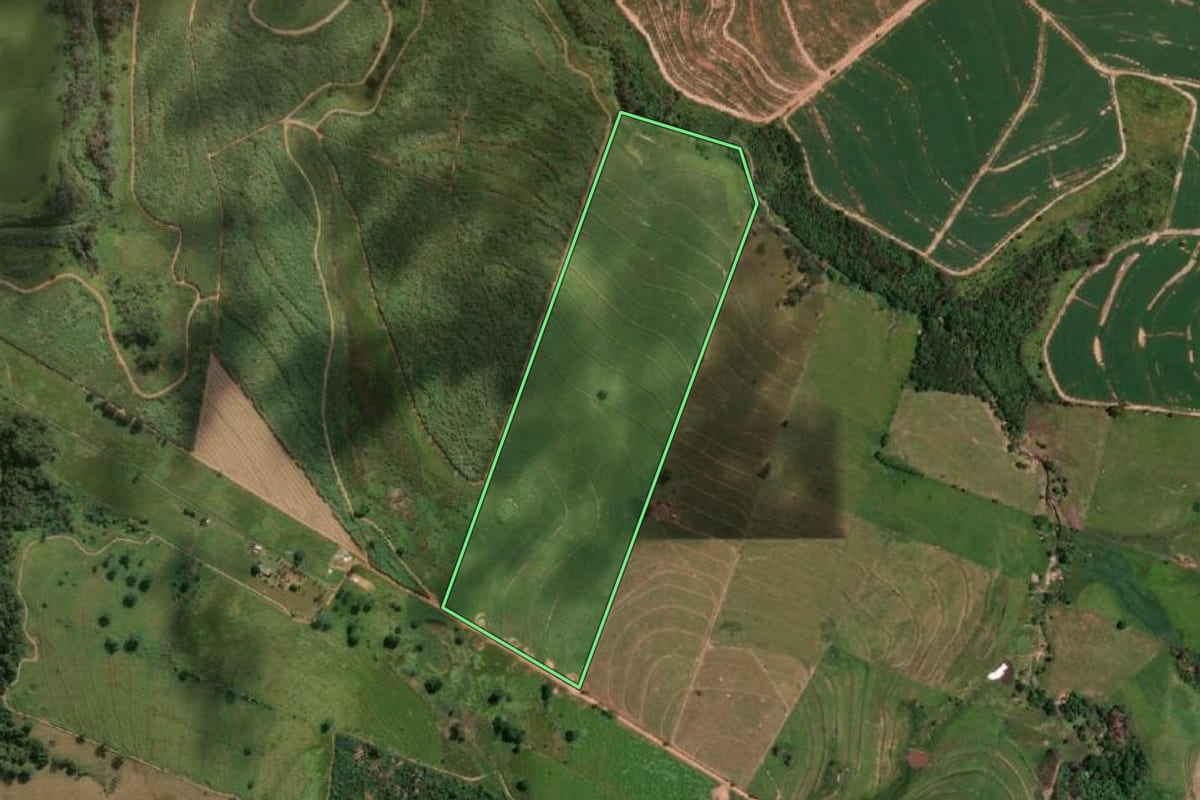 Imagem de satélite do imóvel rural em Lucélia (SP), com o contorno declarado no CAR desenhado por cima.