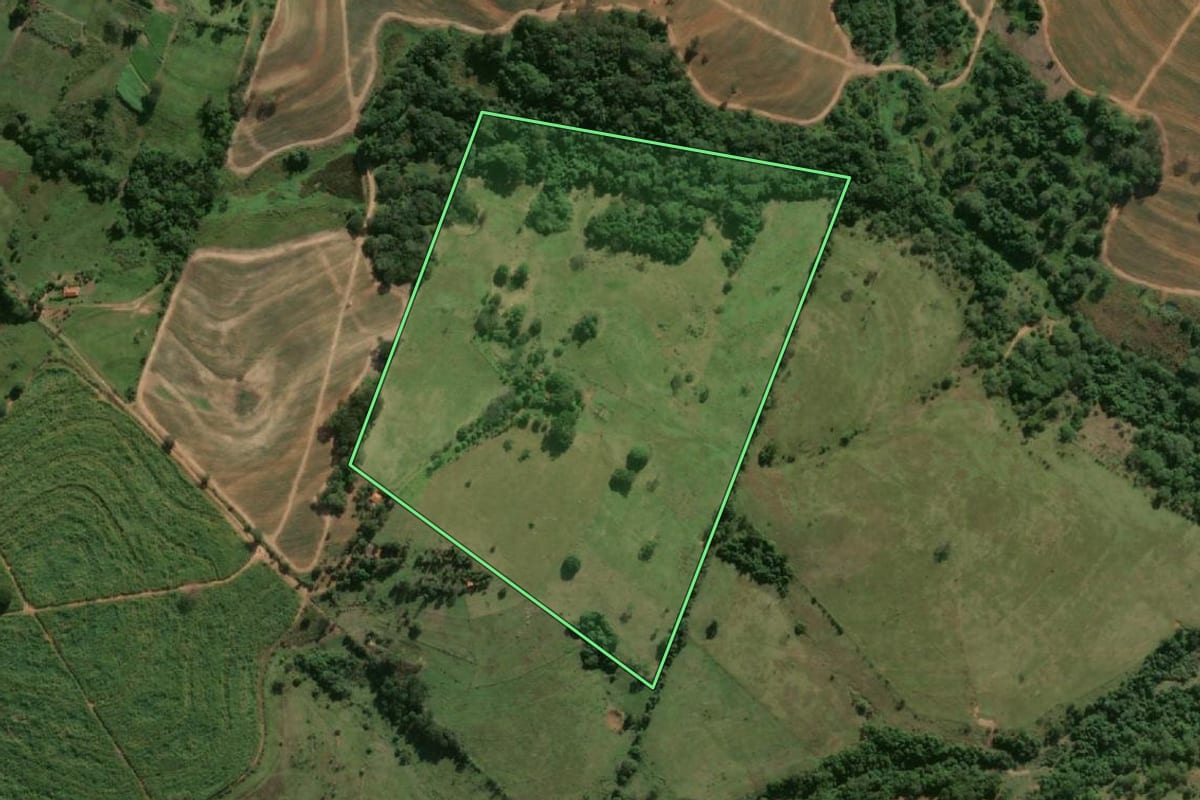 Imagem de satélite do imóvel rural em Lucélia (SP), com o contorno declarado no CAR desenhado por cima.