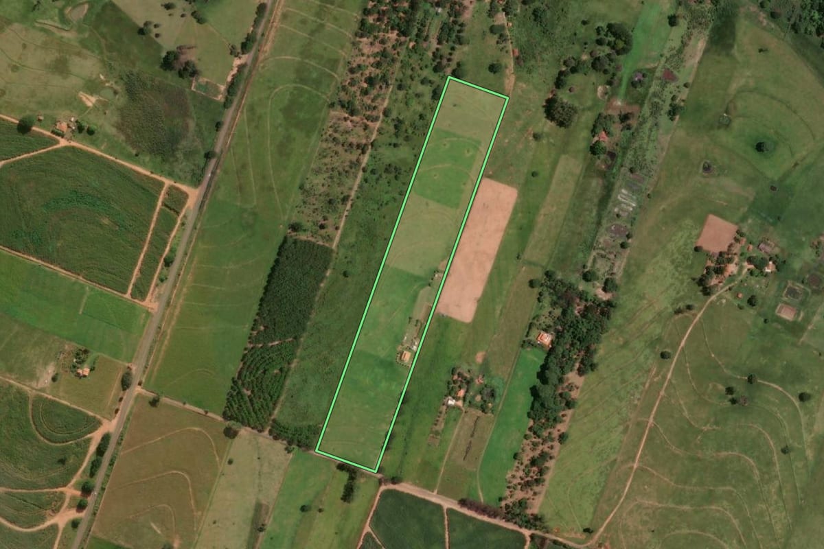 Imagem de satélite do imóvel rural em Lucélia (SP), com o contorno declarado no CAR desenhado por cima.