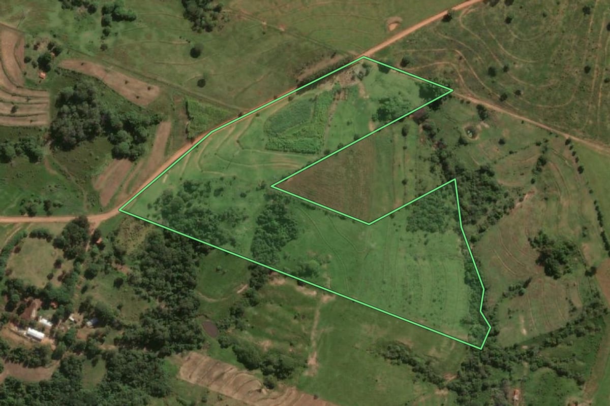 Imagem de satélite do imóvel rural em Lucélia (SP), com o contorno declarado no CAR desenhado por cima.