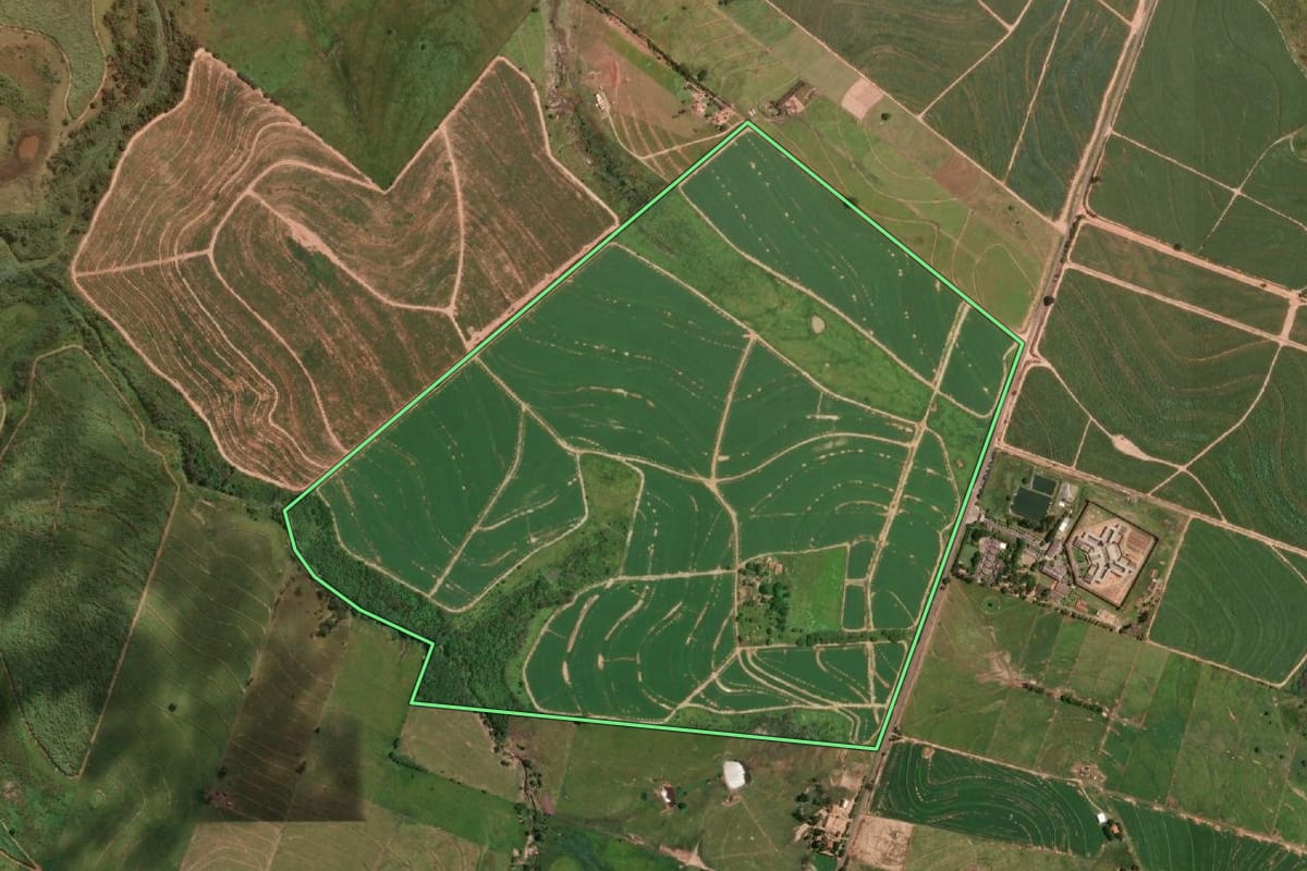 Imagem de satélite do imóvel rural em Lucélia (SP), com o contorno declarado no CAR desenhado por cima.