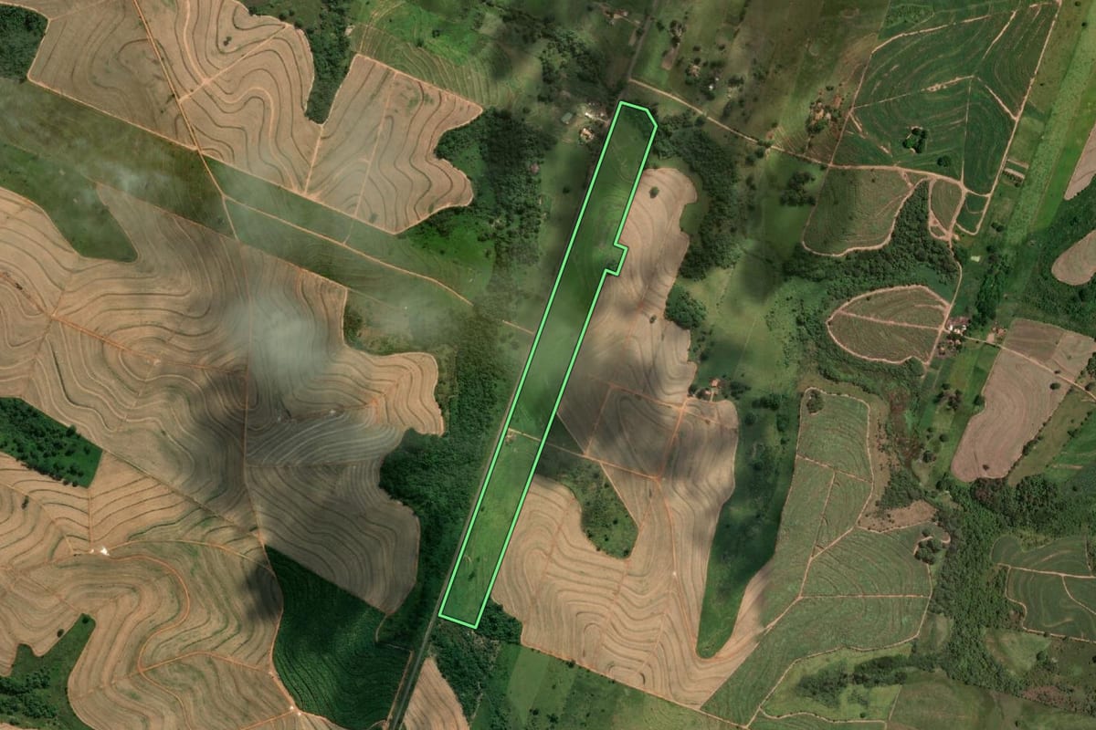Imagem de satélite do imóvel rural em Lucélia (SP), com o contorno declarado no CAR desenhado por cima.