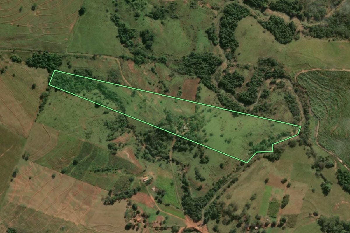 Imagem de satélite do imóvel rural em Lucélia (SP), com o contorno declarado no CAR desenhado por cima.